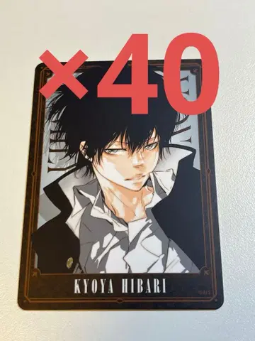REBORN 보드게임 히바리 쿄야 3 40장 세트