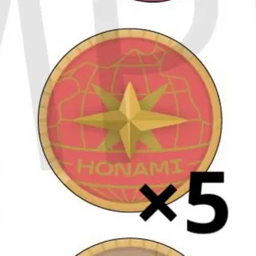 모치즈키 호나미 링 라이트 5th