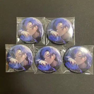 프로세카 KAITO 그리캔