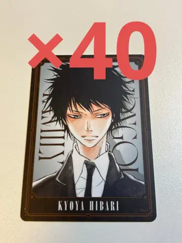 REBORN 보드게임 히바리 쿄야 4 40장 세트