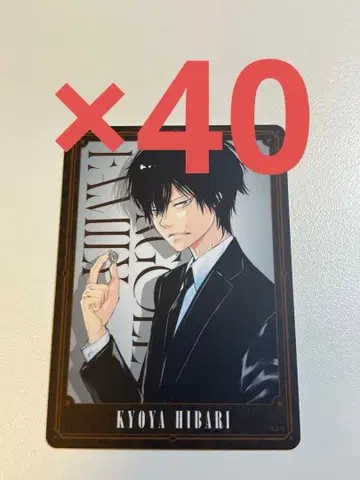 REBORN 보드게임 히바리 쿄야 5 40장 세트