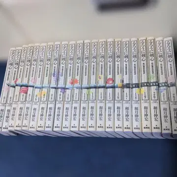 바람의 검심 완전판 전 22권 세트