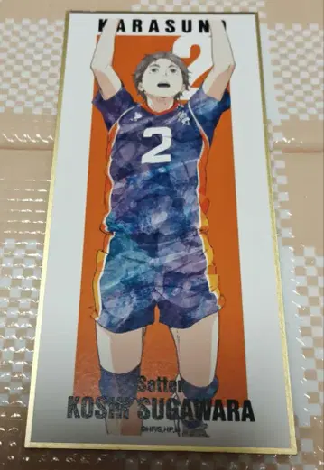 하이큐!! 스가와라 코시 색지