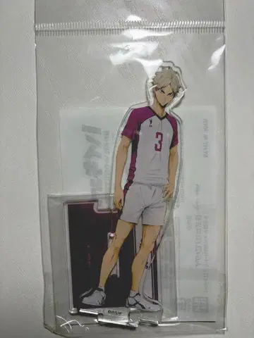 하이큐 연결 아크릴 스탠드 아크스타 세미 에이타