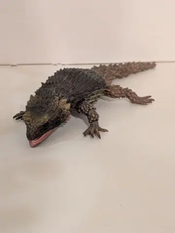 생물대도감 어드밴스 아르마딜로 도마뱀