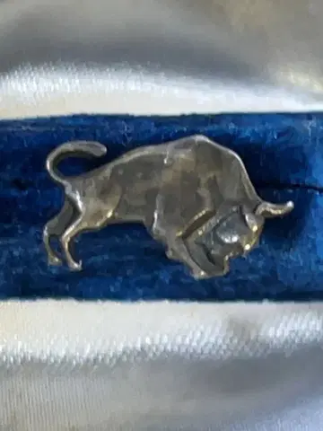 ANSON STERLING 핀 배지 앙송 925 실버 나