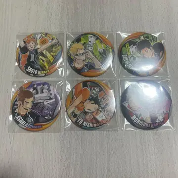 하이큐 컬렉션 캔뱃지 세트