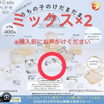 우리 아이 털뭉치 강아지 페테모 한정판 믹스