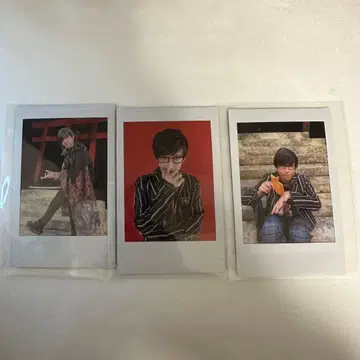 서해 용인 폴라로이드