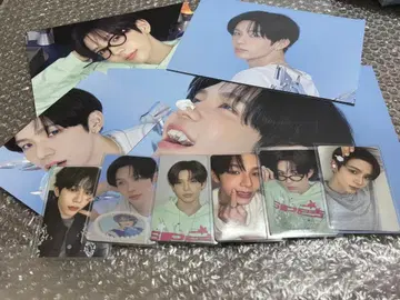 RIIZE 시즌 그리팅 쇼타로