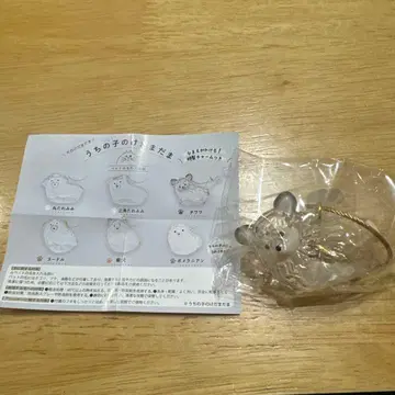 케다마다마 치와와