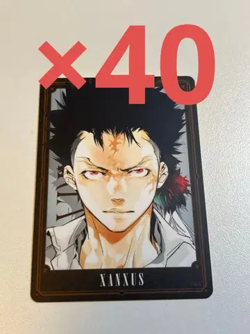 REBORN 보드게임 잔저스 XANXUS 3 40장 세트