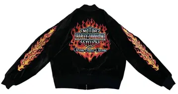 레어 Harley-Davidson 벨로아 스카잔