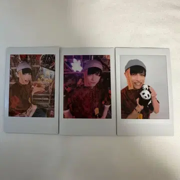 서해 용인 폴라로이드