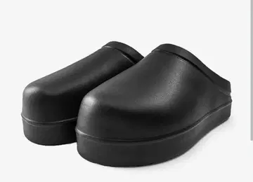 낙타 키 이지 사보