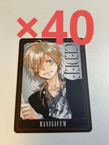 REBORN 보드게임 바질 140장 세트