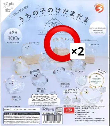 우리 아이 털뭉치 페테모 한정판 푸들 강아지