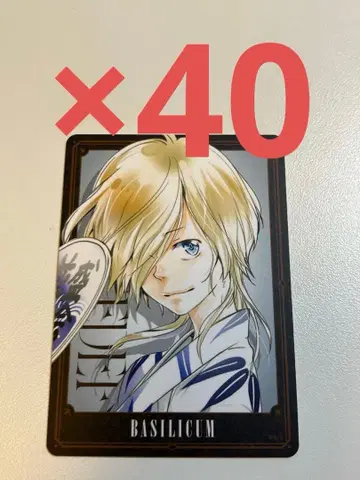 REBORN 보드게임 바질 2 40장 세트