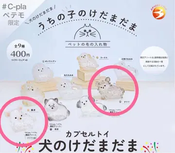 우리 아이 털뭉치 치와와 (화이트 블랙) 세트