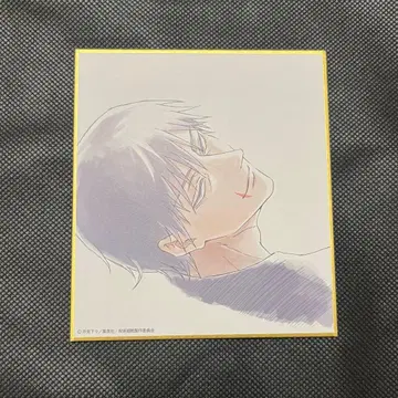 주술회전 후시구로 토우지 회옥 편옥 블라인드 미니 색지