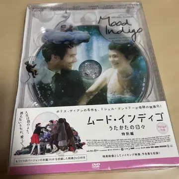 무드 인디고 DVD