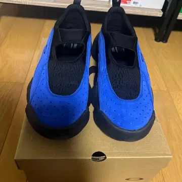 겨울 미니멀리스트! OAKLEY factory team 레어 컬러