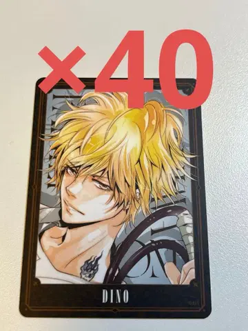 REBORN 보드게임 디노 1 40장 세트