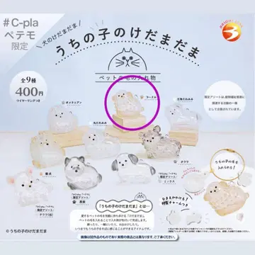 우리 집 강아지 털뭉치 캡슐 토이 푸들