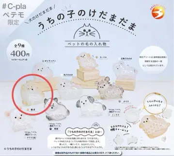 우리 아이의 털뭉치 시바견