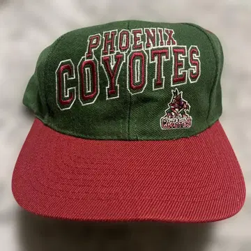 NHL PHOENIX COYOTES 캡 그린/빨간색