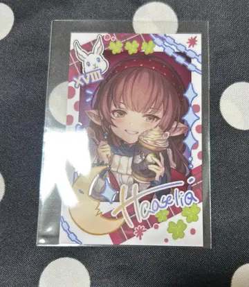 하제리라 그라블 페스티벌 2026 사진풍 카드 폴라로이드