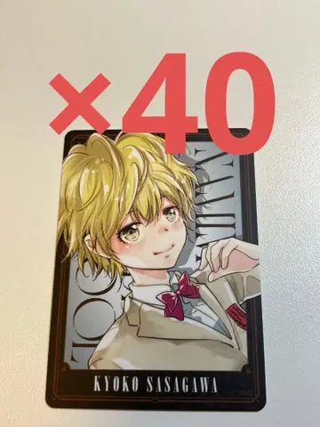 REBORN 보드게임 사사가와 쿄코 1 40장 세트