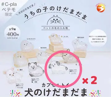 우리 아이 털뭉치 강아지 한정판 모듬 믹스 x 2