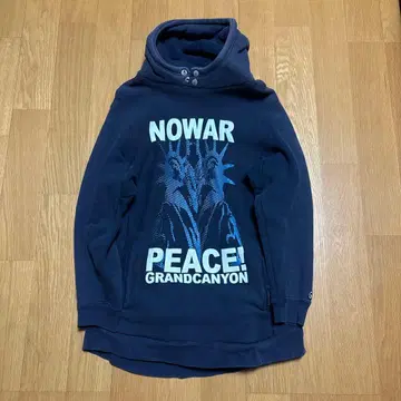 [ 레어 ] GRAND CANYON 그래픽 후드티