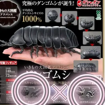 생물대도감 어드밴스 공벌레 블랙 제브라 공벌레 가챠 가샤폰