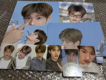 RIIZE 시그 그리 소희