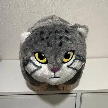 FANS 마눌고양이 봉제 인형 XL 프리미엄