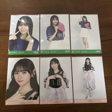 노기자카46 브로마이드 카와사키 벚꽃 2컴프 세트