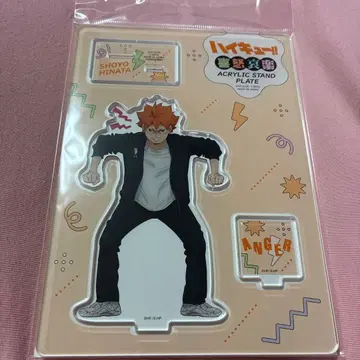 하이큐 희로애락 페어 히나타 쇼요 아크릴 스탠드