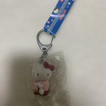 에히메 한정 헬로키티 키링
