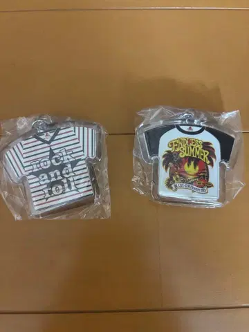 B'z ENDLESS SUMMER 2013 아크릴 키링