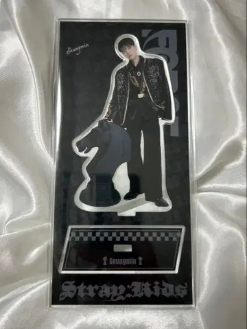 straykids 승민 아크릴 스탠드 FORCE