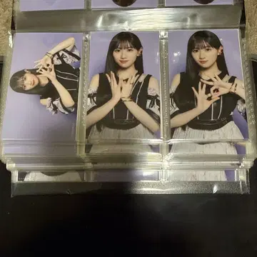 노기자카46 same numbers 미니 브로마이드 카와사키 벚꽃