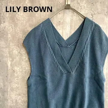 LILY BROWN V넥 니트 베스트 심플 캐주얼 큐트