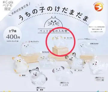 우리 아이 털뭉치 털뭉치 가챠 토이 푸들