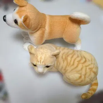 리얼 캣 리얼한 고양이 봉제 인형 강아지 봉제 인형
