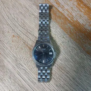 시티즌 엑시드 자동 와인딩 손목시계