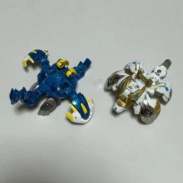 바쿠간 성 아쿠아스 수호 레오네스