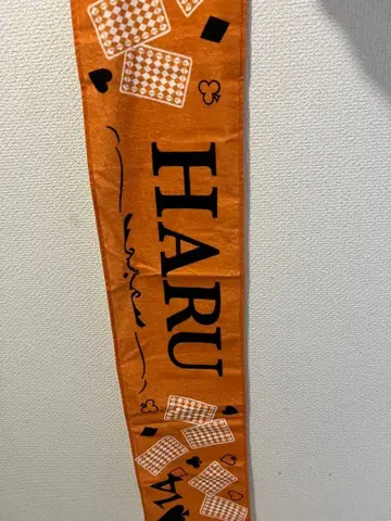 초특급 하루 타월