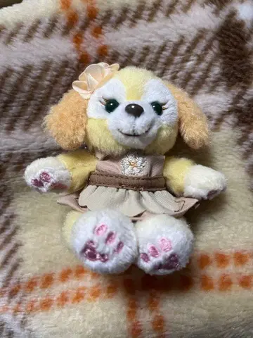 쿠키앤 봉제 인형 참